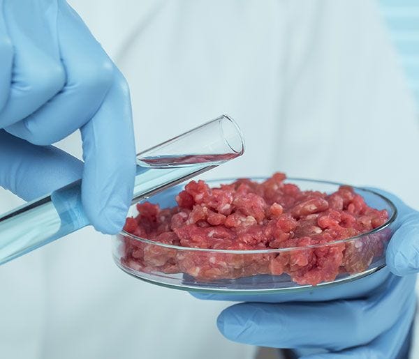 Pharmaceutical & Veterinary